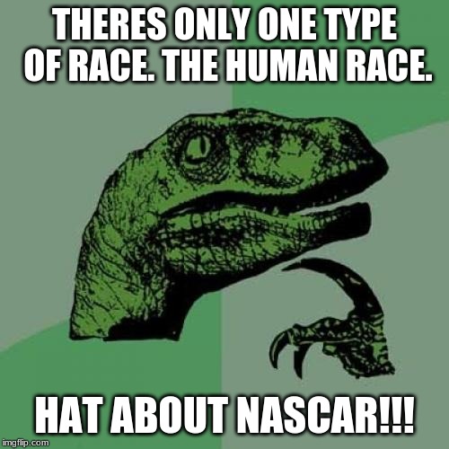 Philosoraptor Meme | THERES ONLY ONE TYPE OF RACE. THE HUMAN RACE. HAT ABOUT NASCAR!!! | image tagged in memes,philosoraptor | made w/ Imgflip meme maker
