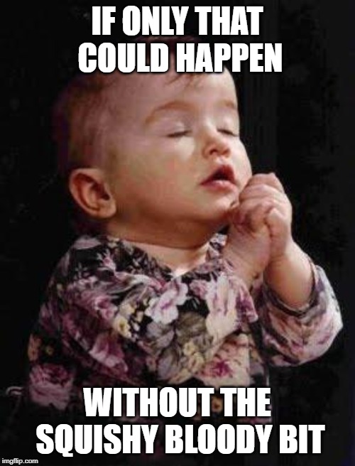 Baby Praying | IF ONLY THAT COULD HAPPEN WITHOUT THE SQUISHY BLOODY BIT | image tagged in baby praying | made w/ Imgflip meme maker