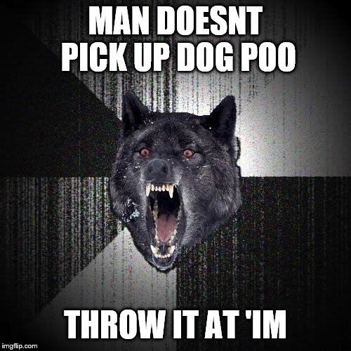 Insanity Wolf | MAN DOESNT PICK UP DOG POO; THROW IT AT 'IM | image tagged in memes,insanity wolf | made w/ Imgflip meme maker