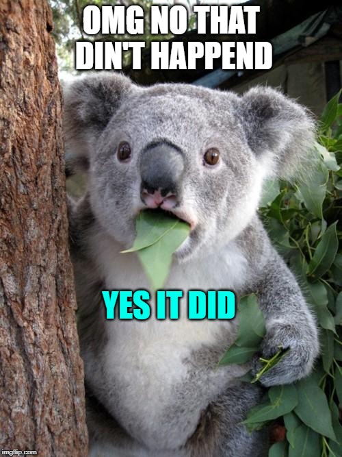 Surprised Koala | OMG NO THAT DIN'T HAPPEND; YES IT DID | image tagged in memes,surprised koala | made w/ Imgflip meme maker
