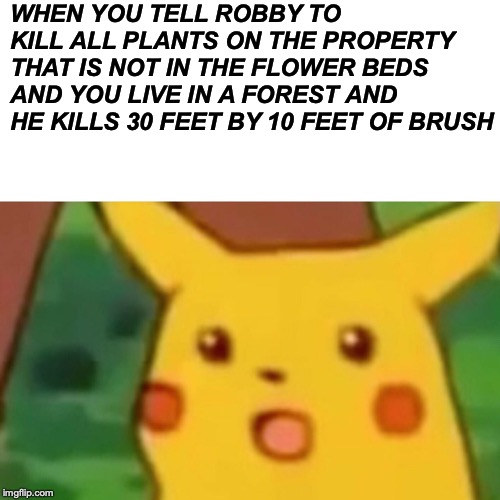 Surprised Pikachu | WHEN YOU TELL ROBBY TO KILL ALL PLANTS ON THE PROPERTY THAT IS NOT IN THE FLOWER BEDS AND YOU LIVE IN A FOREST AND HE KILLS 30 FEET BY 10 FEET OF BRUSH | image tagged in memes,surprised pikachu | made w/ Imgflip meme maker