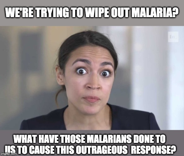 Crazy Alexandria Ocasio-Cortez | WE'RE TRYING TO WIPE OUT MALARIA? WHAT HAVE THOSE MALARIANS DONE TO US TO CAUSE THIS OUTRAGEOUS  RESPONSE? | image tagged in crazy alexandria ocasio-cortez | made w/ Imgflip meme maker