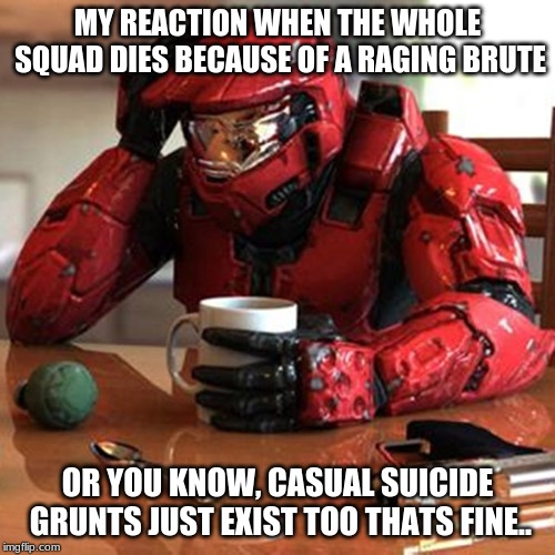 Sad HALO | MY REACTION WHEN THE WHOLE SQUAD DIES BECAUSE OF A RAGING BRUTE; OR YOU KNOW, CASUAL SUICIDE GRUNTS JUST EXIST TOO THATS FINE.. | image tagged in sad halo | made w/ Imgflip meme maker