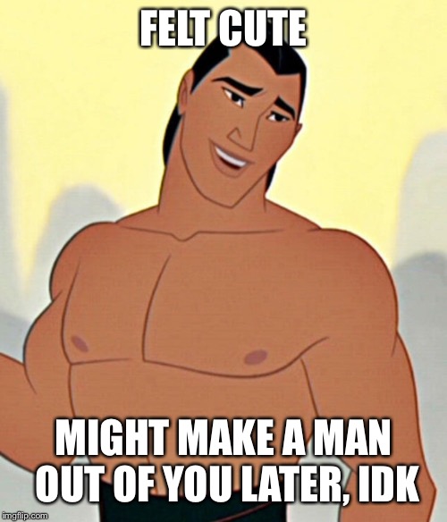FELT CUTE; MIGHT MAKE A MAN OUT OF YOU LATER, IDK | image tagged in mulan,feeling cute,disney | made w/ Imgflip meme maker