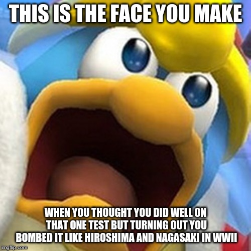 King Dedede oh shit face | THIS IS THE FACE YOU MAKE; WHEN YOU THOUGHT YOU DID WELL ON THAT ONE TEST BUT TURNING OUT YOU BOMBED IT LIKE HIROSHIMA AND NAGASAKI IN WWII | image tagged in king dedede oh shit face | made w/ Imgflip meme maker