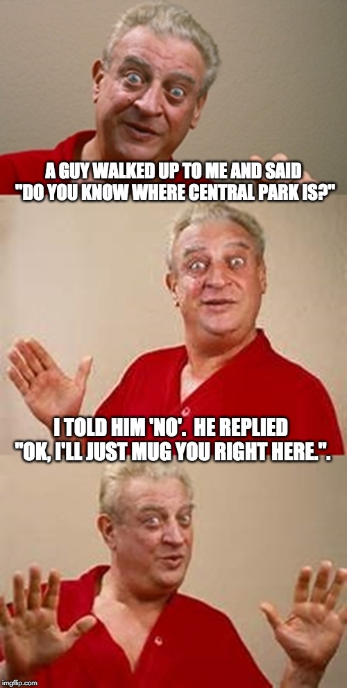 bad pun Dangerfield  | A GUY WALKED UP TO ME AND SAID "DO YOU KNOW WHERE CENTRAL PARK IS?"; I TOLD HIM 'NO'.  HE REPLIED "OK, I'LL JUST MUG YOU RIGHT HERE.". | image tagged in bad pun dangerfield | made w/ Imgflip meme maker