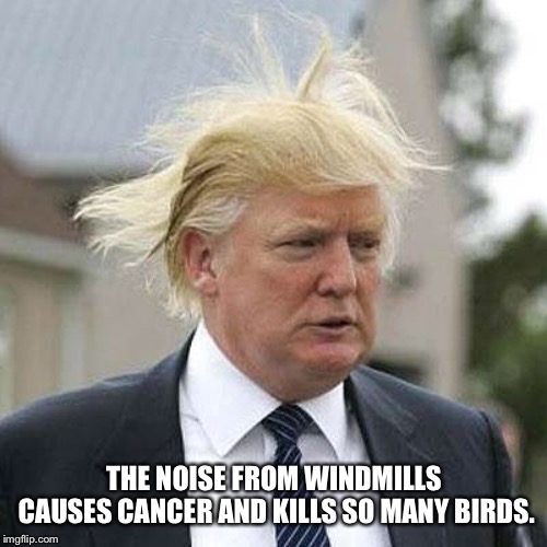Donald Trump | THE NOISE FROM WINDMILLS CAUSES CANCER AND KILLS SO MANY BIRDS. | image tagged in donald trump | made w/ Imgflip meme maker