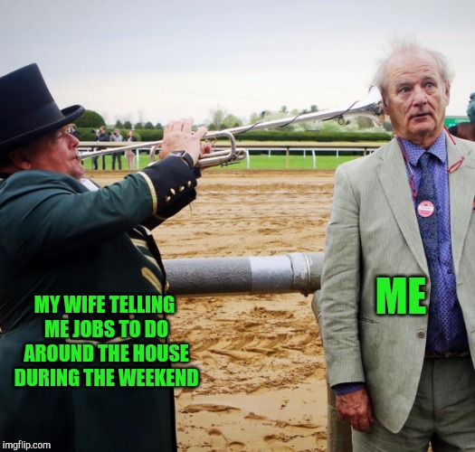The honeydo list | ME; MY WIFE TELLING ME JOBS TO DO AROUND THE HOUSE DURING THE WEEKEND | image tagged in bill murray horn,honeydo list,bill murray,weekend | made w/ Imgflip meme maker