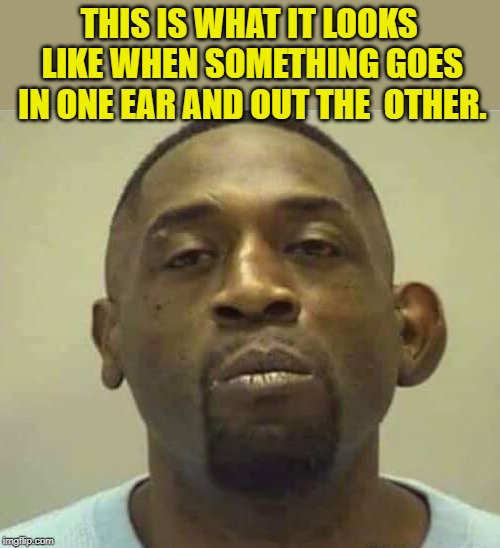 this is what it looks like when something goes in one ear and out the  other | THIS IS WHAT IT LOOKS LIKE WHEN SOMETHING GOES IN ONE EAR AND OUT THE  OTHER. | image tagged in in one ear,and out the other | made w/ Imgflip meme maker