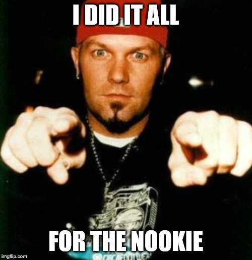 Limp bizkit | I DID IT ALL FOR THE NOOKIE | image tagged in limp bizkit | made w/ Imgflip meme maker