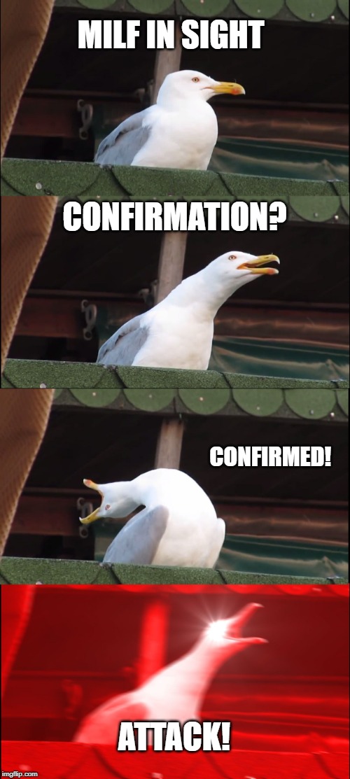 Inhaling Seagull | MILF IN SIGHT; CONFIRMATION? CONFIRMED! ATTACK! | image tagged in memes,inhaling seagull | made w/ Imgflip meme maker