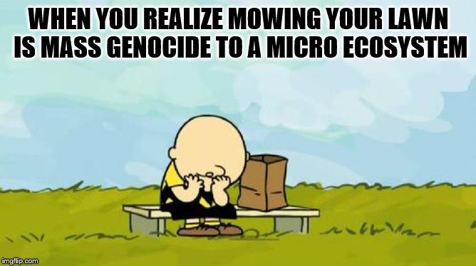 Depressed Charlie Brown | WHEN YOU REALIZE MOWING YOUR LAWN IS MASS GENOCIDE TO A MICRO ECOSYSTEM | image tagged in depressed charlie brown | made w/ Imgflip meme maker