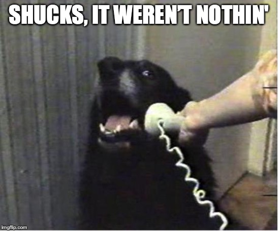 Yes this is dog | SHUCKS, IT WEREN’T NOTHIN' | image tagged in yes this is dog | made w/ Imgflip meme maker