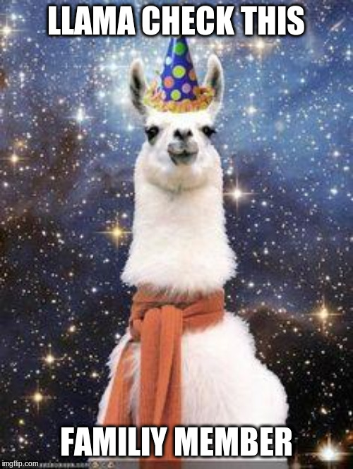 Drama Llama Birthday | LLAMA CHECK THIS FAMILIY MEMBER | image tagged in drama llama birthday | made w/ Imgflip meme maker