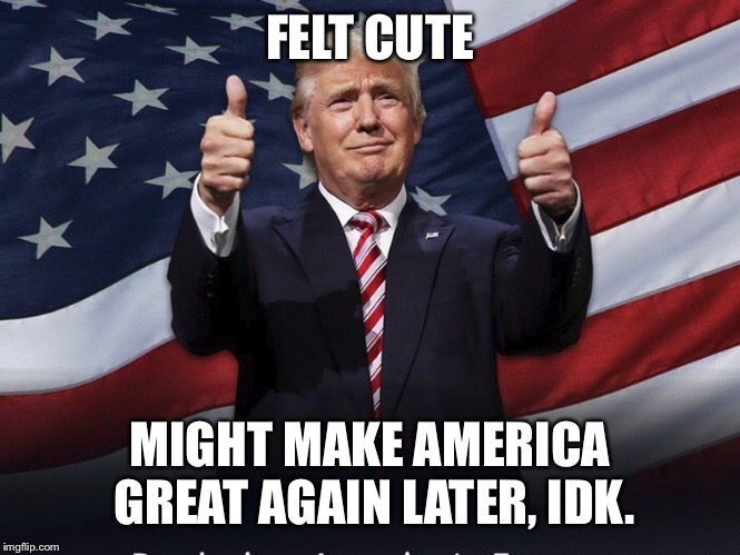 Donald Trump Thumbs Up | FELT CUTE; MIGHT MAKE AMERICA GREAT AGAIN LATER, IDK. | image tagged in donald trump thumbs up | made w/ Imgflip meme maker