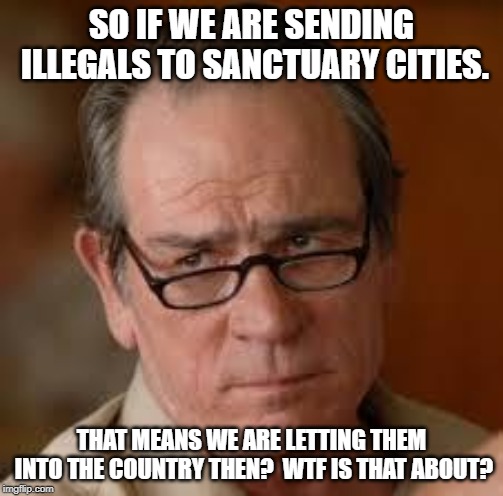 my face when someone asks a stupid question | SO IF WE ARE SENDING ILLEGALS TO SANCTUARY CITIES. THAT MEANS WE ARE LETTING THEM INTO THE COUNTRY THEN?  WTF IS THAT ABOUT? | image tagged in my face when someone asks a stupid question | made w/ Imgflip meme maker