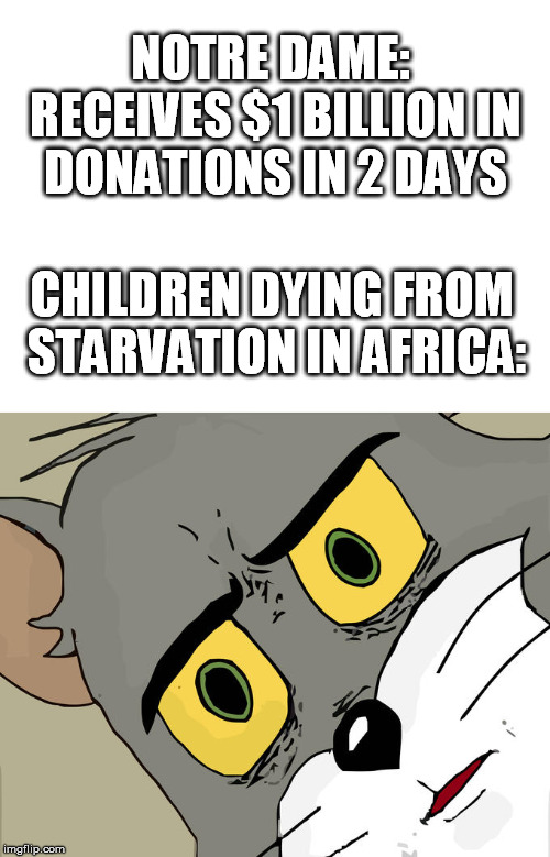 Every 15 seconds a child dies of hunger | NOTRE DAME: RECEIVES $1 BILLION IN DONATIONS IN 2 DAYS; CHILDREN DYING FROM STARVATION IN AFRICA: | image tagged in unsettled tom,notre dame,starvation,dying,children,hypocrisy | made w/ Imgflip meme maker