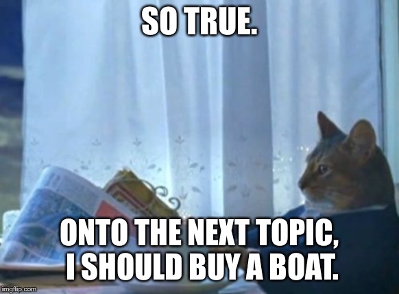 I Should Buy A Boat Cat Meme | SO TRUE. ONTO THE NEXT TOPIC, I SHOULD BUY A BOAT. | image tagged in memes,i should buy a boat cat | made w/ Imgflip meme maker