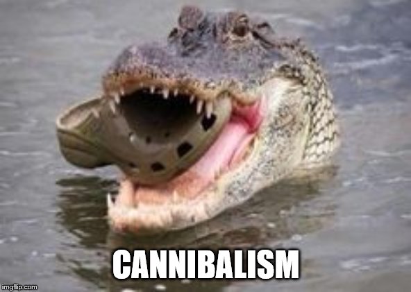 The Very Definition | CANNIBALISM | image tagged in memes,funny memes,crocs,crocodile,cannibalism | made w/ Imgflip meme maker
