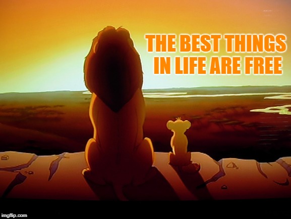 Lion King Meme | THE BEST THINGS IN LIFE ARE FREE | image tagged in memes,lion king | made w/ Imgflip meme maker
