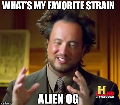 Ancient Aliens Meme | WHAT’S MY FAVORITE STRAIN; ALIEN OG | image tagged in memes,ancient aliens | made w/ Imgflip meme maker