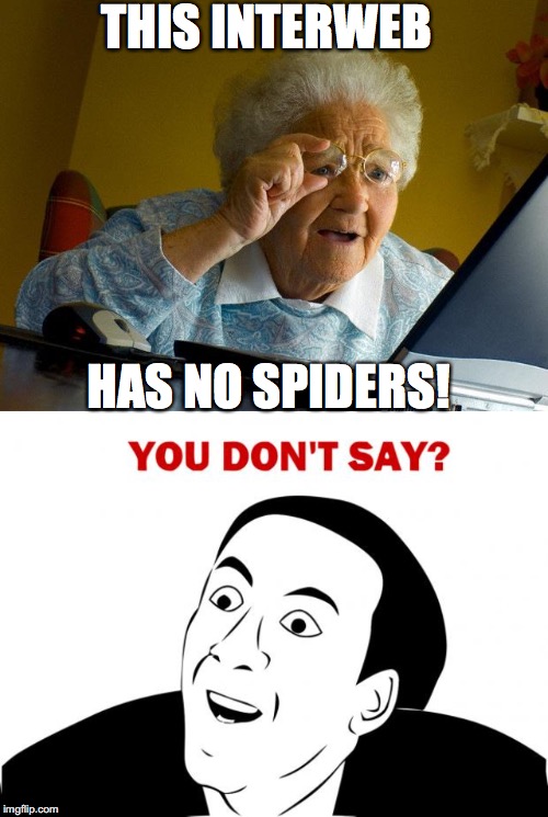THIS INTERWEB; HAS NO SPIDERS! | image tagged in memes,grandma finds the internet,you don't say | made w/ Imgflip meme maker