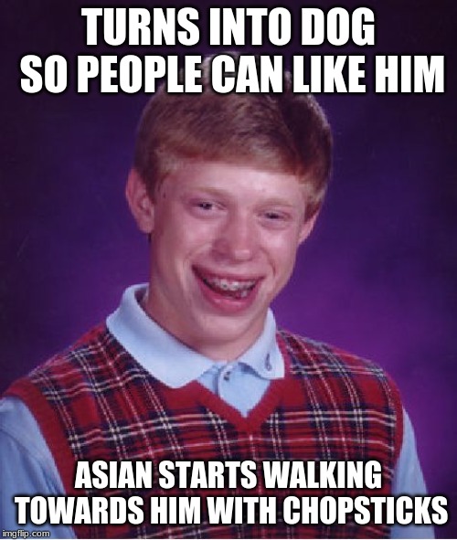 Bad Luck Brian Meme | TURNS INTO DOG SO PEOPLE CAN LIKE HIM; ASIAN STARTS WALKING TOWARDS HIM WITH CHOPSTICKS | image tagged in memes,bad luck brian | made w/ Imgflip meme maker