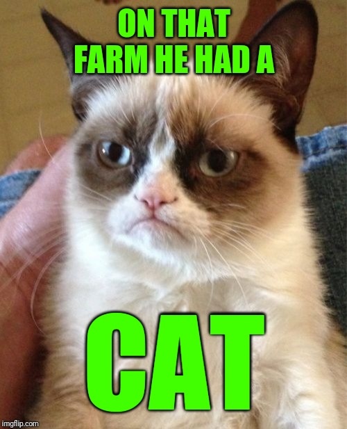 Grumpy Cat Meme | ON THAT FARM HE HAD A CAT | image tagged in memes,grumpy cat | made w/ Imgflip meme maker