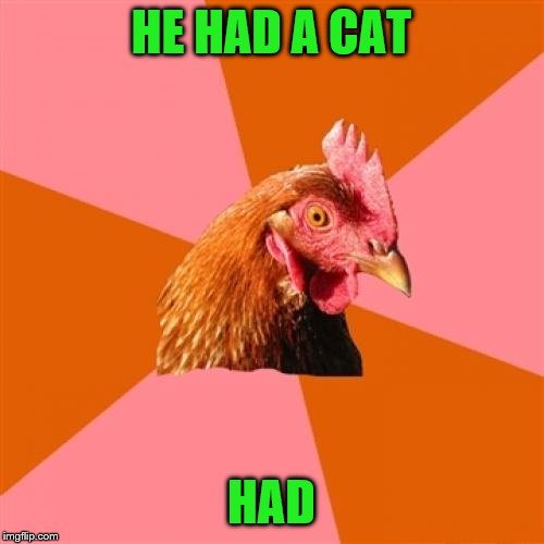 Anti Joke Chicken Meme | HE HAD A CAT HAD | image tagged in memes,anti joke chicken | made w/ Imgflip meme maker
