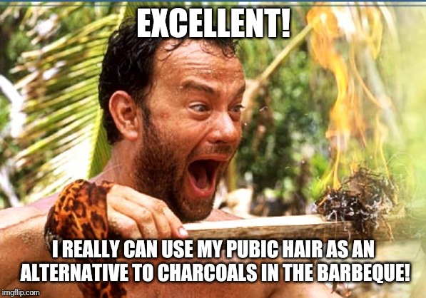 Bad barbeque ideas | EXCELLENT! I REALLY CAN USE MY PUBIC HAIR AS AN ALTERNATIVE TO CHARCOALS IN THE BARBEQUE! | image tagged in memes,castaway fire | made w/ Imgflip meme maker