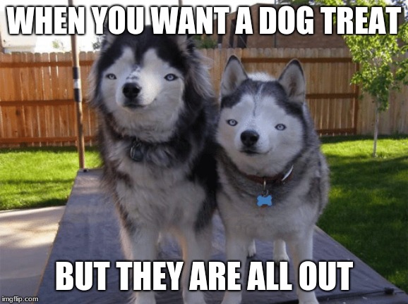 Those Guys.... | WHEN YOU WANT A DOG TREAT; BUT THEY ARE ALL OUT | image tagged in those guys | made w/ Imgflip meme maker