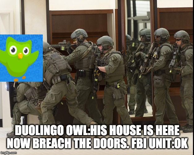 FBI SWAT | DUOLINGO OWL:HIS HOUSE IS HERE NOW BREACH THE DOORS.
FBI UNIT:OK | image tagged in fbi swat | made w/ Imgflip meme maker