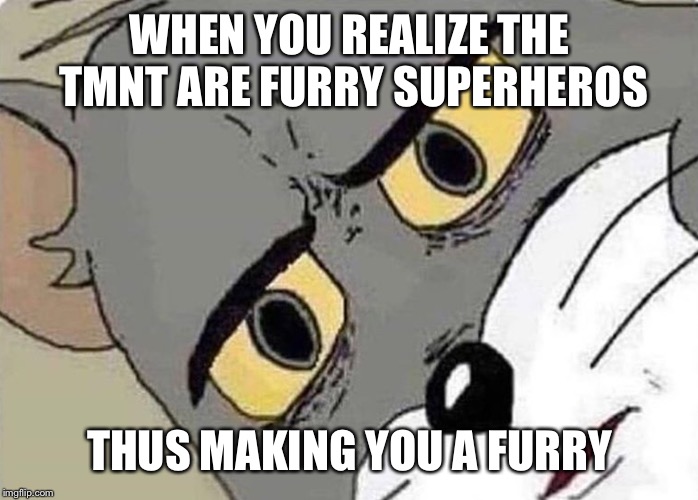 Tom Face Meme | WHEN YOU REALIZE THE TMNT ARE FURRY SUPERHEROS; THUS MAKING YOU A FURRY | image tagged in tom face meme | made w/ Imgflip meme maker