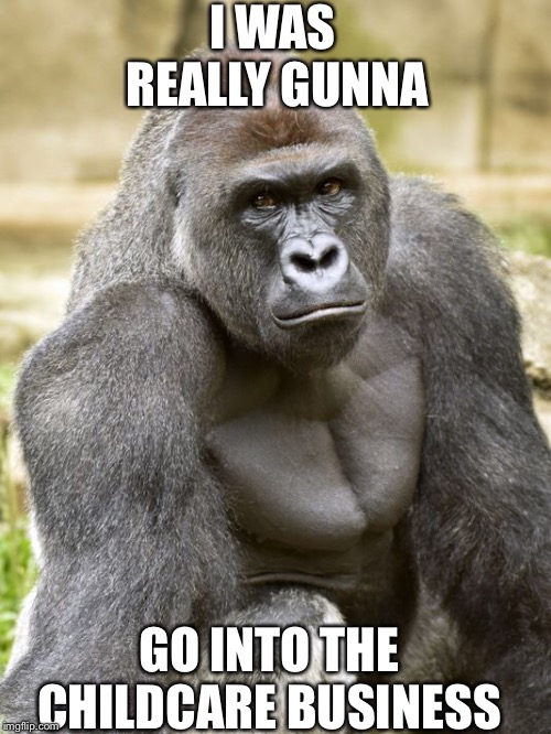 Childcare | I WAS REALLY GUNNA; GO INTO THE CHILDCARE BUSINESS | image tagged in harambe | made w/ Imgflip meme maker