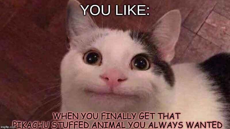 YOU LIKE:; WHEN YOU FINALLY GET THAT PIKACHU STUFFED ANIMAL YOU ALWAYS WANTED | image tagged in lol | made w/ Imgflip meme maker