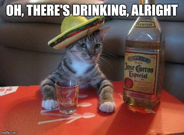alcohol cat | OH, THERE'S DRINKING, ALRIGHT | image tagged in alcohol cat | made w/ Imgflip meme maker