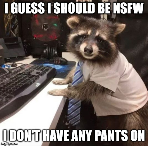 Sometimes you never know when they will slap a NSFW on your meme | I GUESS I SHOULD BE NSFW; I DON'T HAVE ANY PANTS ON | image tagged in racoon | made w/ Imgflip meme maker