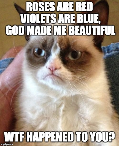 Grumpy Cat Meme | ROSES ARE RED VIOLETS ARE BLUE, GOD MADE ME BEAUTIFUL; WTF HAPPENED TO YOU? | image tagged in memes,grumpy cat | made w/ Imgflip meme maker