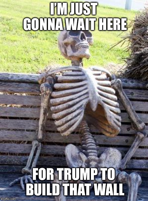 Waiting Skeleton | I’M JUST GONNA WAIT HERE; FOR TRUMP TO BUILD THAT WALL | image tagged in memes,waiting skeleton | made w/ Imgflip meme maker