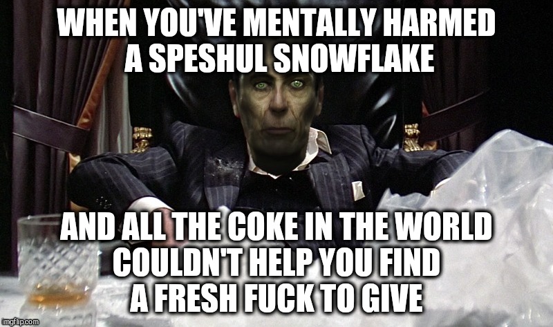 The path of the wrathful man is beset on all sides by the inequities of the butthurt and the tears of silly wimps | WHEN YOU'VE MENTALLY HARMED     A SPESHUL SNOWFLAKE; AND ALL THE COKE IN THE WORLD     COULDN'T HELP YOU FIND              A FRESH FUCK TO GIVE | image tagged in memes,g-man from half-life as scarface,scars are for life,anal realighnment procedure mishaps,sucks to be you and i do not care | made w/ Imgflip meme maker