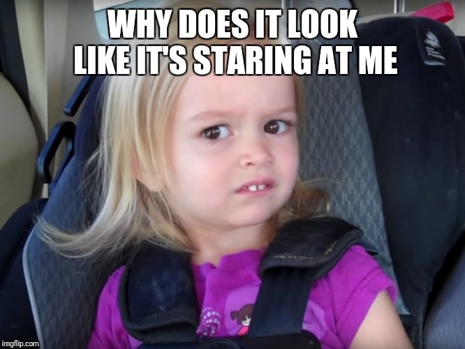 Huh? | WHY DOES IT LOOK LIKE IT'S STARING AT ME | image tagged in huh | made w/ Imgflip meme maker