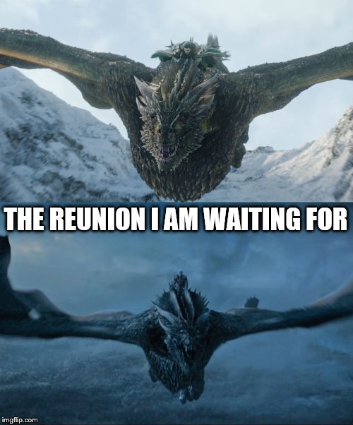 jon snow vs night king | THE REUNION I AM WAITING FOR | image tagged in game of thrones,memes | made w/ Imgflip meme maker
