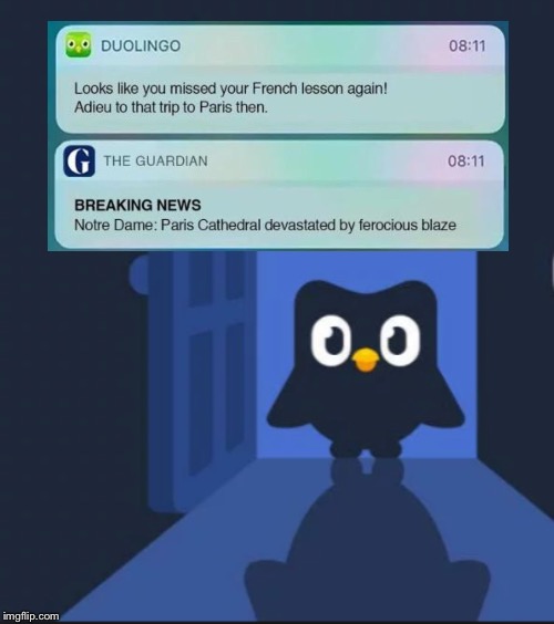 Duolingo bird - Imgflip