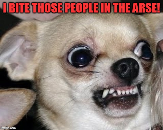 angry dog | I BITE THOSE PEOPLE IN THE ARSE! | image tagged in angry dog | made w/ Imgflip meme maker