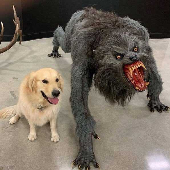 Golden retriever with monster Blank Meme Template