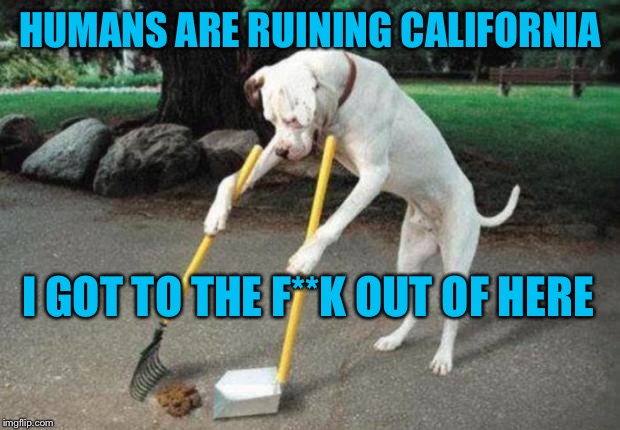 Dog poop | HUMANS ARE RUINING CALIFORNIA; I GOT TO THE F**K OUT OF HERE | image tagged in dog poop | made w/ Imgflip meme maker