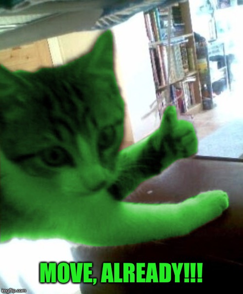 thumbs up RayCat | MOVE, ALREADY!!! | image tagged in thumbs up raycat | made w/ Imgflip meme maker