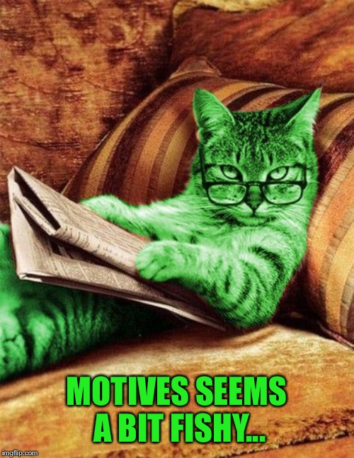 Factual RayCat | MOTIVES SEEMS A BIT FISHY... | image tagged in factual raycat | made w/ Imgflip meme maker
