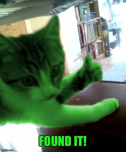 thumbs up RayCat | FOUND IT! | image tagged in thumbs up raycat | made w/ Imgflip meme maker