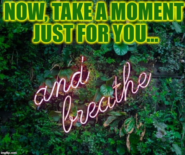 "When angry count to 10 before you speak. If very angry, count to 100." —Thomas Jefferson | NOW, TAKE A MOMENT   JUST FOR YOU... | image tagged in vince vance,take a breath,and breathe,ivy foilage,neon sign,trolls and haters | made w/ Imgflip meme maker